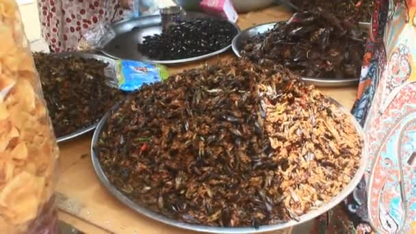 Fried Insects Cambodia — Stock Video