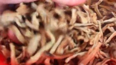 Sotelenmiş ahtapot ve mantar