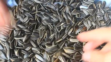 Bir tabakta ayçekirdeği