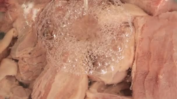 Vlees met beluchting machine reinigen — Stockvideo