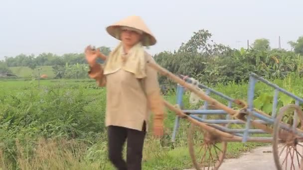 Farmers pulling cart, vietnam — Stock Video