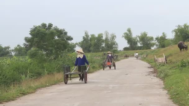 Agricultores puxando carrinho, vietnam — Vídeo de Stock