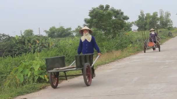 Farmers pulling cart, vietnam — Stock Video