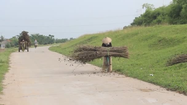 Фермери, потягнувши кошик, В'єтнам — стокове відео