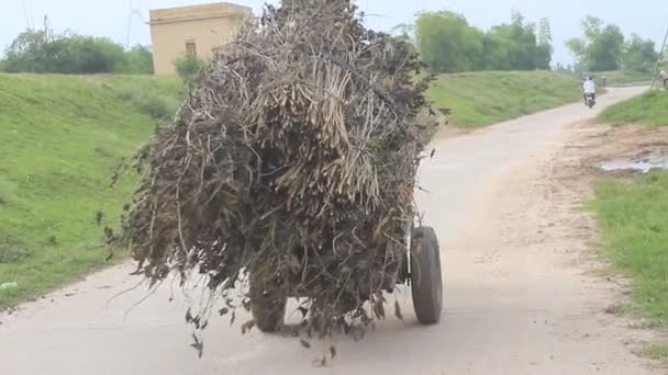 Agricultores puxando carrinho, vietnam — Vídeo de Stock