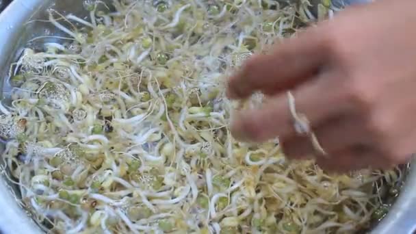 Lave e limpe o broto de feijão — Vídeo de Stock