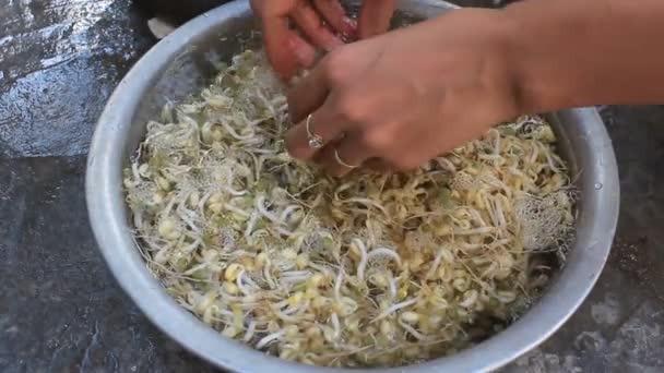 Lave e limpe o broto de feijão — Vídeo de Stock