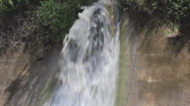 Ormanın içinde akan dere