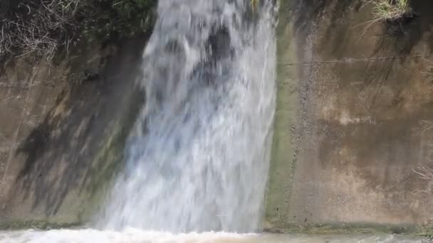 Flux de courant dans la forêt — Video