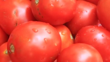 Kırmızı olgun domates