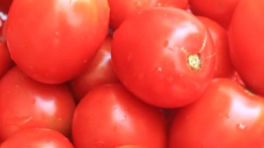 Kırmızı olgun domates