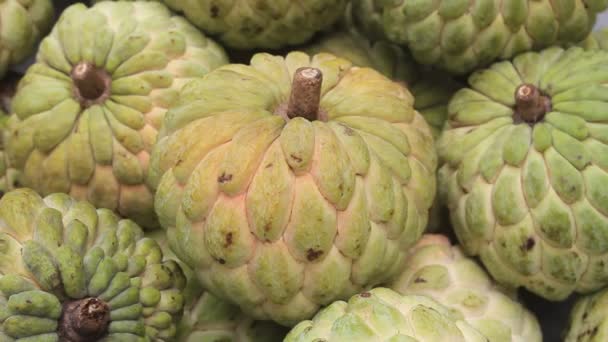 Fruta de Annona — Vídeo de stock