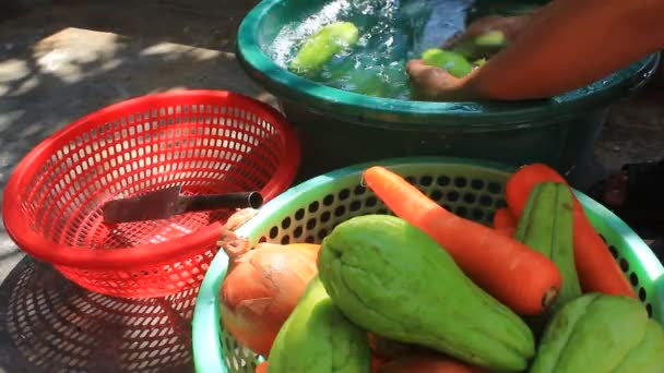 Descascamento, lavagem de legumes e frutas — Vídeo de Stock