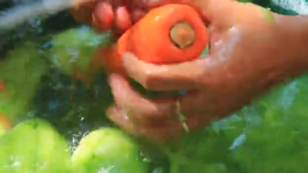 Descascamento, lavagem de legumes e frutas — Vídeo de Stock