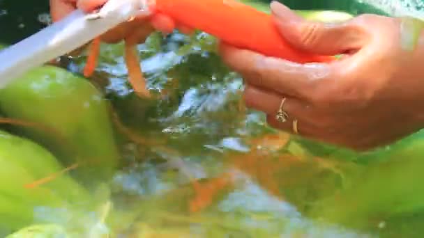 Descascamento, lavagem de legumes e frutas — Vídeo de Stock