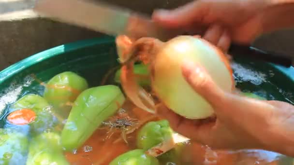 剥皮，洗蔬菜和水果 — 图库视频影像