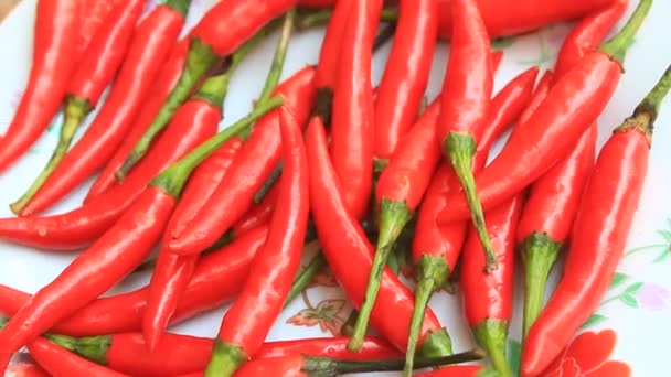 The chillis in the plate — Stock Video