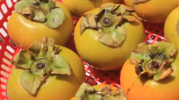 Persimmons w koszyku — Wideo stockowe