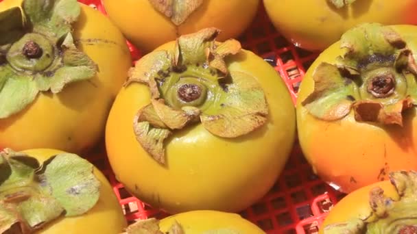 Η persimmons στο καλάθι — Αρχείο Βίντεο