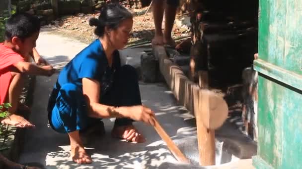 Agricultores machacando arroz en harina — Vídeos de Stock