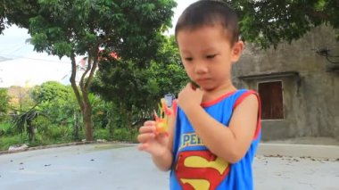 Çocuk oyun tohe, Vietnam renkli pirinç toz tarafından yapılan geleneksel oyuncaklar