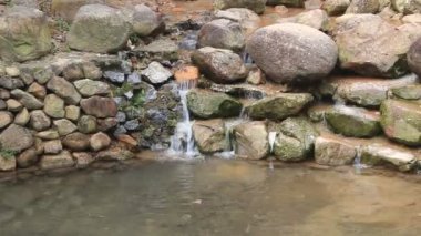 Ormanın içinde akan dere