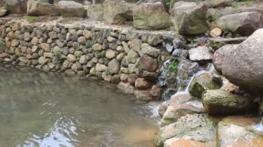 Ormanın içinde akan dere