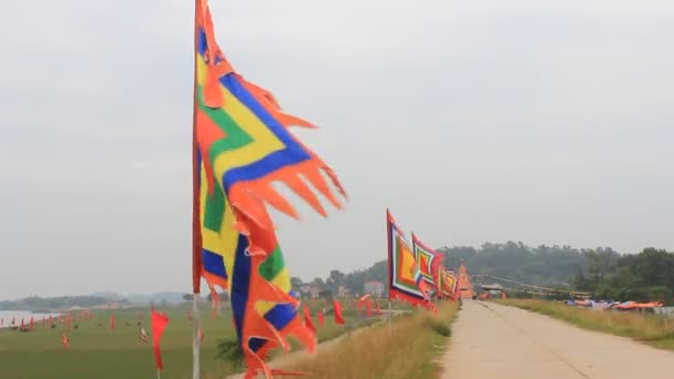 Flagge beim traditionellen Fest in Vietnam — Stockvideo