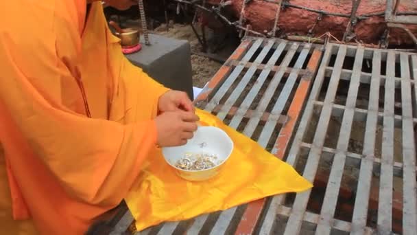 Monjes echando estatuas en la pagoda — Vídeo de stock