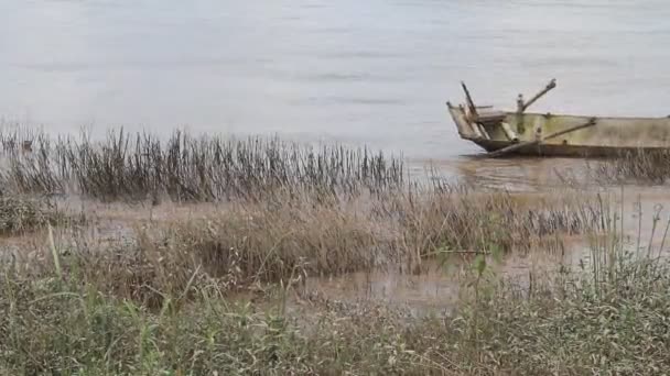 Loď na břeh řeky, vietnam — Stock video