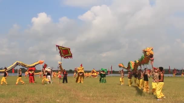 Een groep van Aziatische mensen dansen draak in volksfeesten — Stockvideo