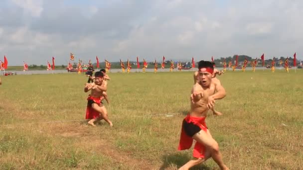 Martial arts practitioners performance traditional martial arts — Stock Video