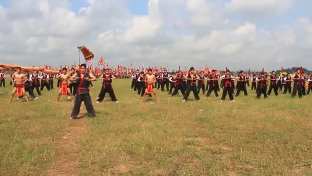 Kampfsportler führen traditionelle Kampfkünste auf — Stockvideo