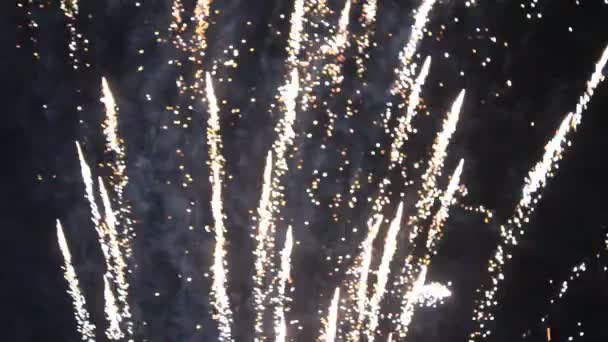 Fireworks in a traditional festival, vietnam — Stock Video