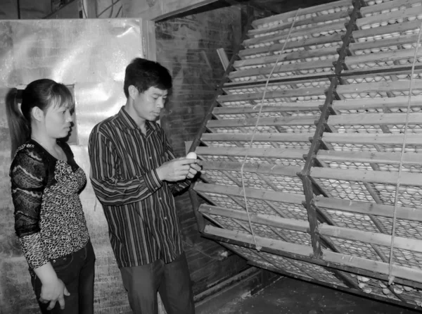 Vietnamese farmer to check egg in incubator — Stock Photo, Image