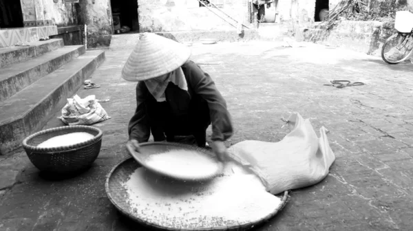 Vietnamesisk kvinna bonden rent ris efter fräsning — Stockfoto