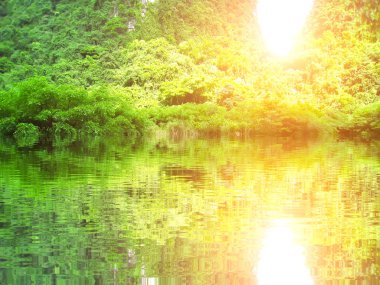 trang tanımlanamayan turist bir