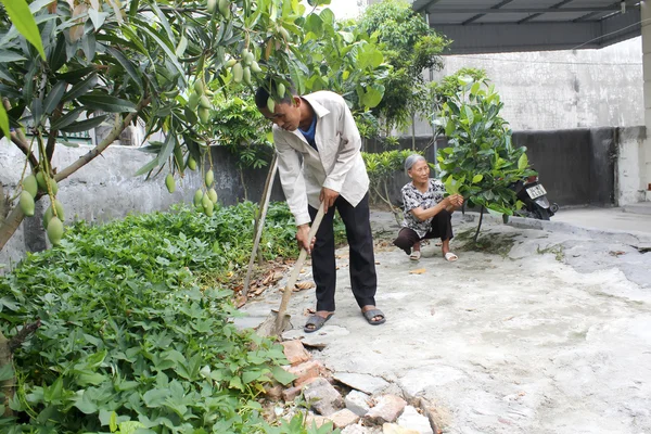 Woman and man working on the farm — Stockfoto