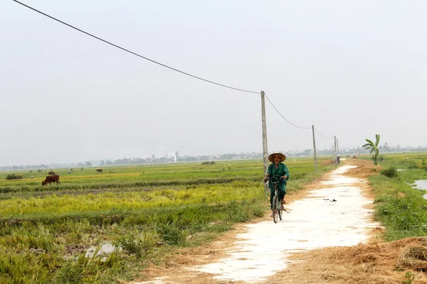 Asiatico uomo equitazione un bicicletta su il strada — Foto Stock