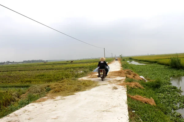 Mulher asiática montando uma bicicleta na estrada — Fotografia de Stock