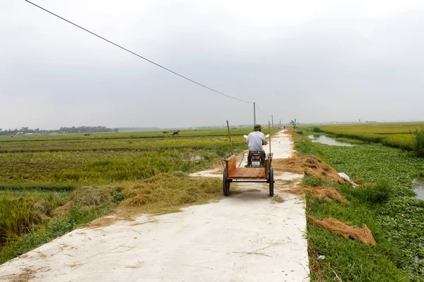 Азиатский человек, катающийся на велосипеде по дороге — стоковое фото