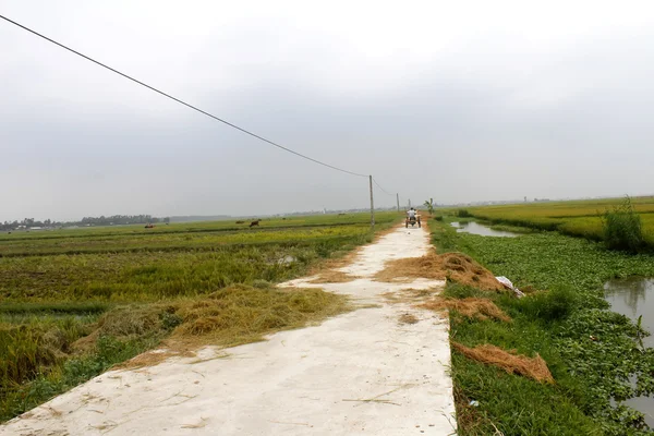 Ásia homem equitação um bicicleta no o estrada — Fotografia de Stock