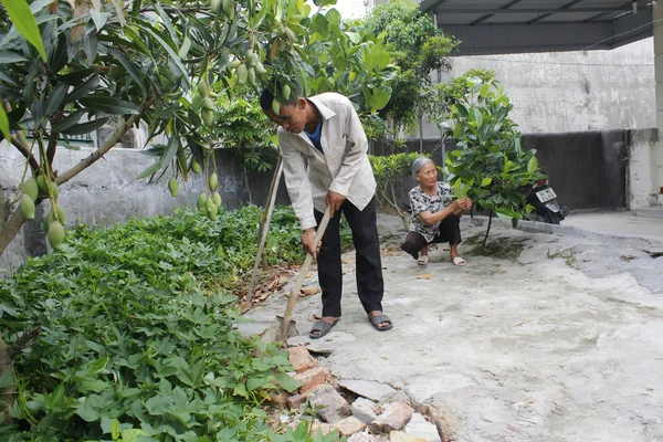 Woman and man working on the farm — Stock Photo, Image