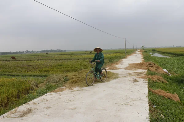 Asiatischer Mann mit Fahrrad auf der Straße — Stockfoto