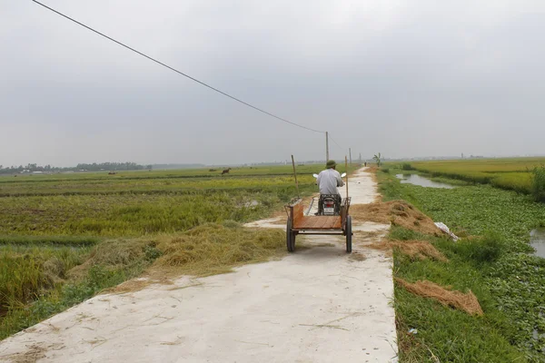 Asiatico uomo equitazione un bicicletta su il strada — Foto Stock