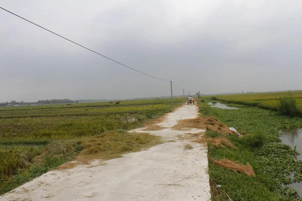 Asiatico uomo equitazione un bicicletta su il strada — Foto Stock