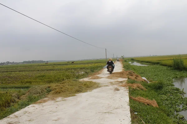 Азиатка на велосипеде по дороге — стоковое фото