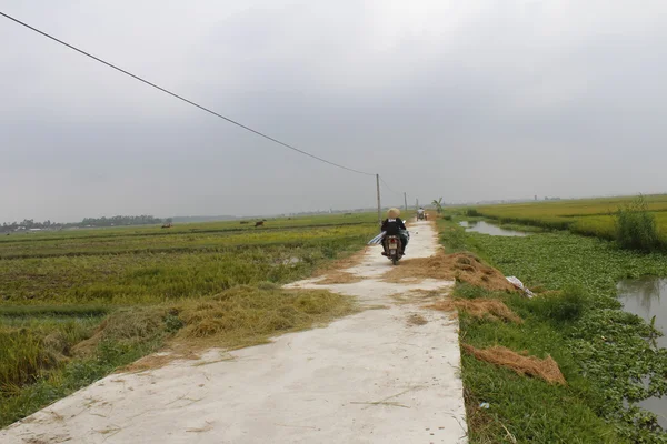 Asiatico donna equitazione un bicicletta su il strada — Foto Stock