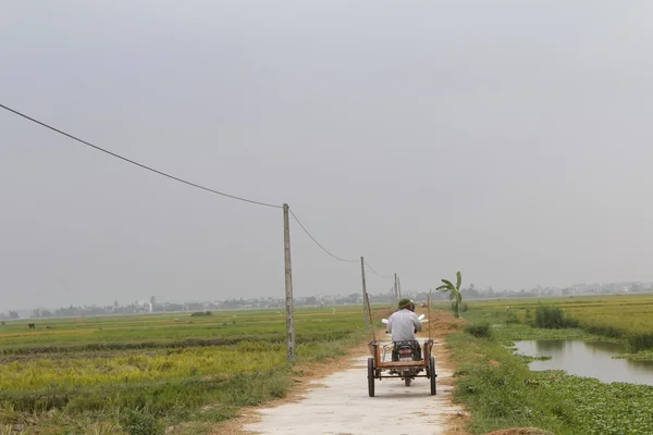 道路を自転車で走っているアジア系男性は — ストック写真