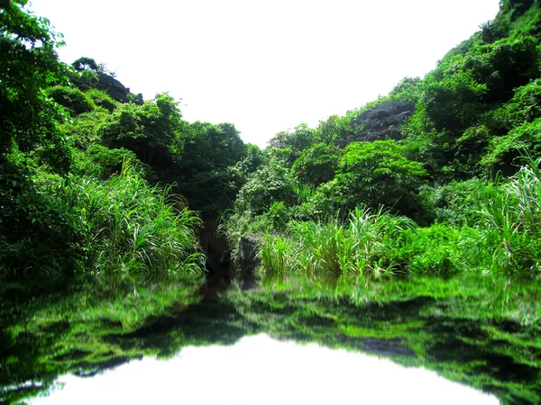 Trang tanımlanamayan turist bir — Stok fotoğraf